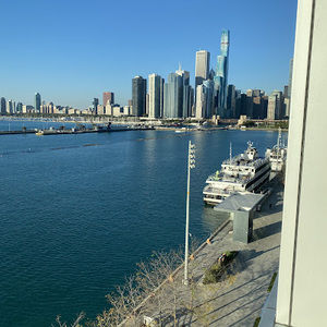 Meet your Posher, Millie